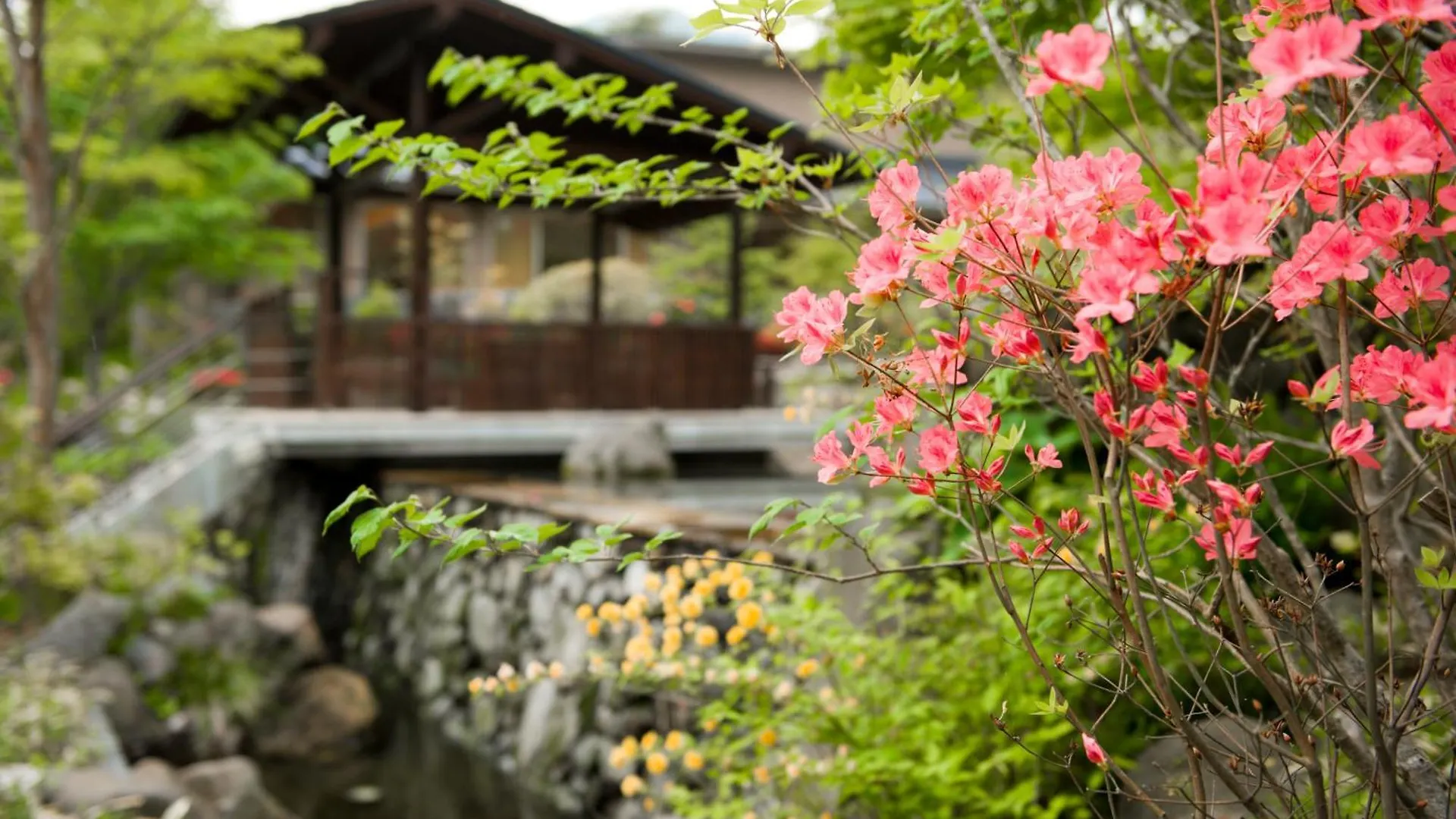 Hakone Hisui Hotel Ryokan